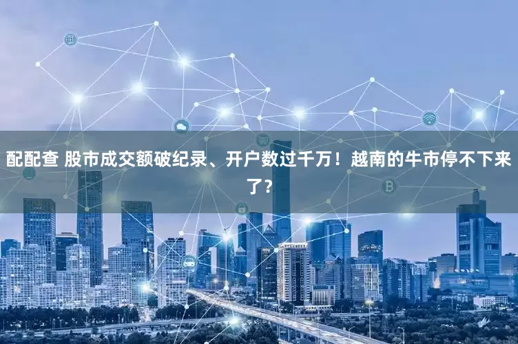 配配查 股市成交额破纪录、开户数过千万！越南的牛市停不下来了？