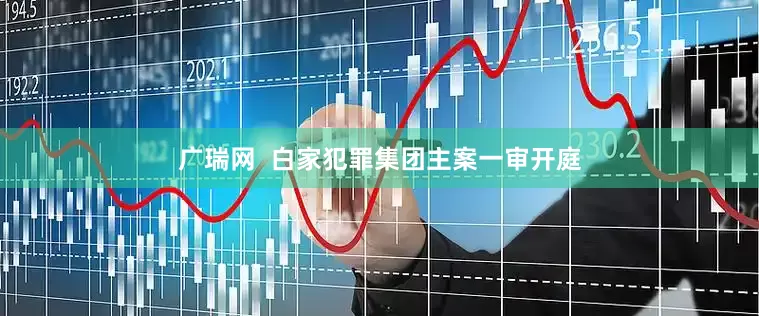 广瑞网  白家犯罪集团主案一审开庭