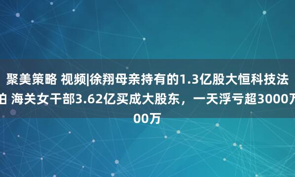 聚美策略 视频|徐翔母亲持有的1.3亿股大恒科技法拍 海关女干部3.62亿买成大股东，一天浮亏超3000万